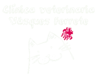 Clínica Veterinaria Vázquez Ferrete logo